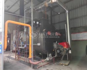 4 TPH WNS Series Gas-fired Steam Boiler in Feed Industry