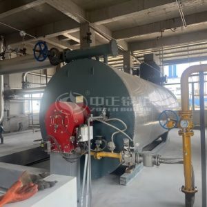 ZOZEN 3 Million Kcal Gas Fired Thermal Oil Heater