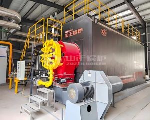 20 Ton Gas Fired Steam Boiler in Lithium Carbonate Industry