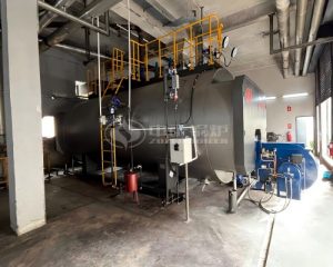 10 TPH Heavy Oil Fire Tube Steam Boiler for Textile Industry in Mauritius