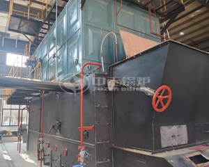 6 Tph Chain Grate Biomass Steam Boiler for Papermaking Industry