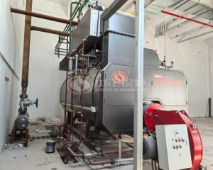 ZOZEN 8 Tons Gas Steam Boiler and 5 Million Kcal Thermal Oil Heater for Food Industry