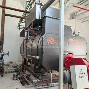 ZOZEN 8 Tons Gas Steam Boiler and 5 Million Kcal Thermal Oil Heater