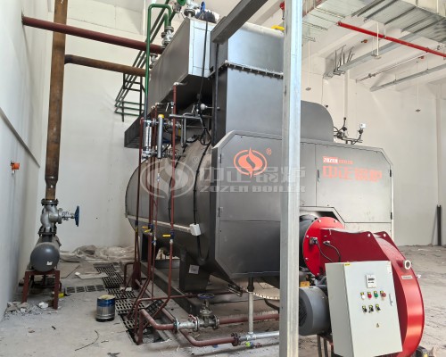 ZOZEN 8 Tons Gas Steam Boiler and 5 Million Kcal Thermal Oil Heater