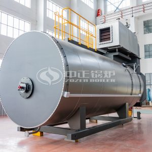 ZOZEN 5 TPH Boiler