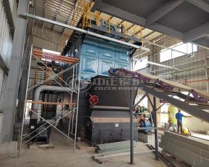 ZOZEN 10 Ton Biomass Steam Boiler for Chemical Industry in Ghana