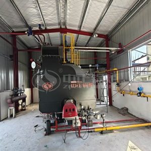 ZOZEN 1 Tph Gas Fired Steam Boiler