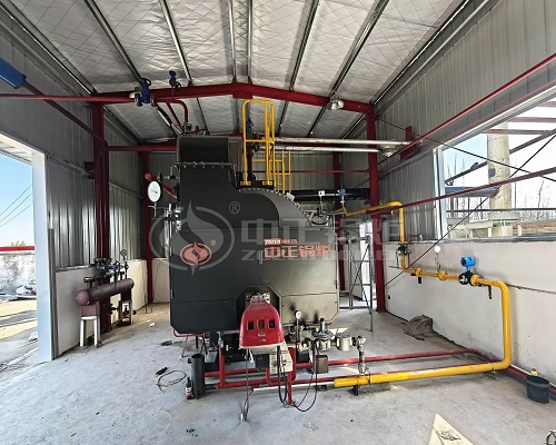 ZOZEN 1 Tph Gas Fired Steam Boiler