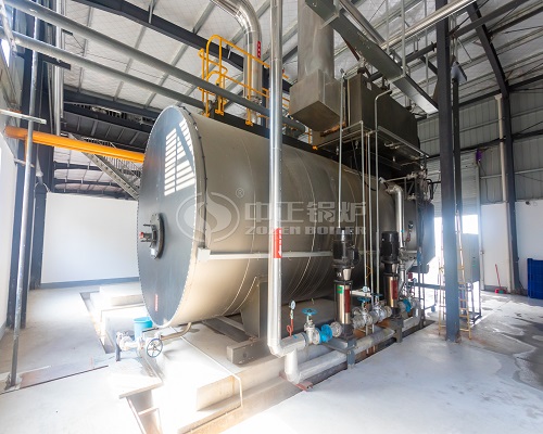 ZOZEN 8 Ton Light Diesel Steam Boiler