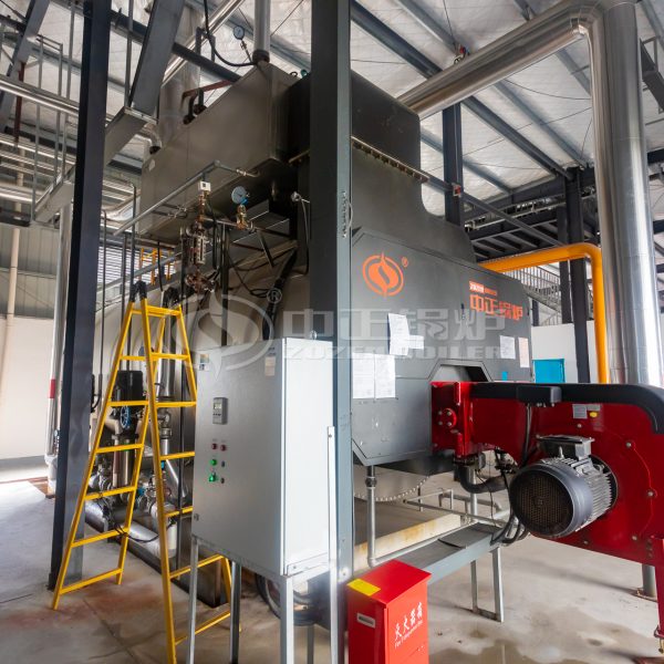 ZOZEN Fuel Gas Steam Boiler