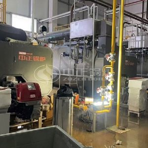 ZOZEN 6 Ton Gas Steam Boilers Project