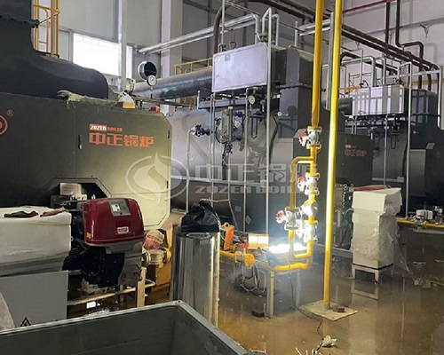 ZOZEN 6 Ton Gas Steam Boilers Project