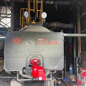 ZOZEN 2 Ton Oil Steam Boiler