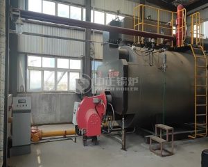 ZOZEN 6 Ton Gas Fired Steam Boiler for Food Industry