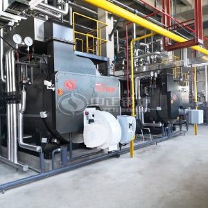 ZOZEN Dual Fuel Boilers