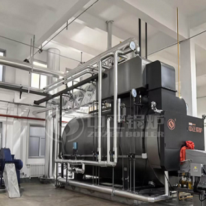 ZOZEN 10 Ton Green and Low-Carbon Biogas Steam Boiler