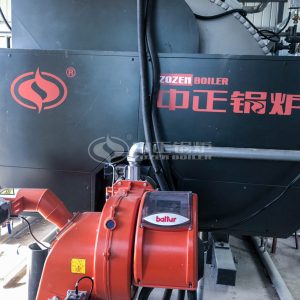 ZOZEN Dual Fuel Boiler