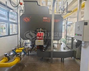 ZOZEN 8 Tph Biogas Steam Boiler for Pharmaceutical Industry