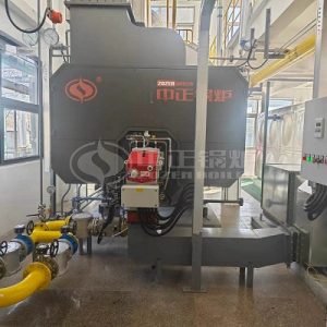 ZOZEN 8 Tph Biogas Steam Boiler